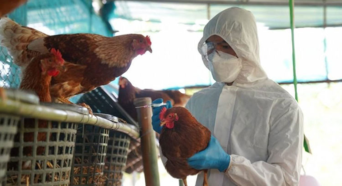 Toddler becomes 16th victim of bird flu in 2025